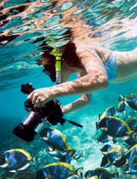 Photography Photos Camera Underwater