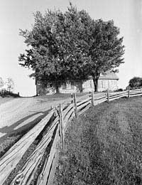 Edward Weston Photography Photographer