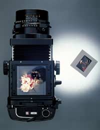 Digital Film Analogue Processing Frame