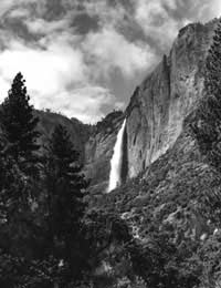 Ansel Adams Photographer Photography